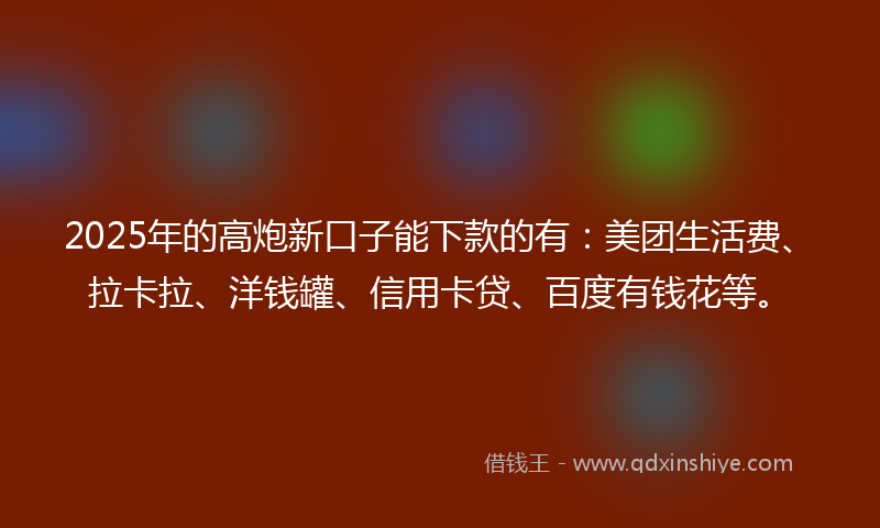 2025年的高炮新口子能下款的有：美团生活费、拉卡拉、洋钱罐、信用卡贷、百度有钱花等。