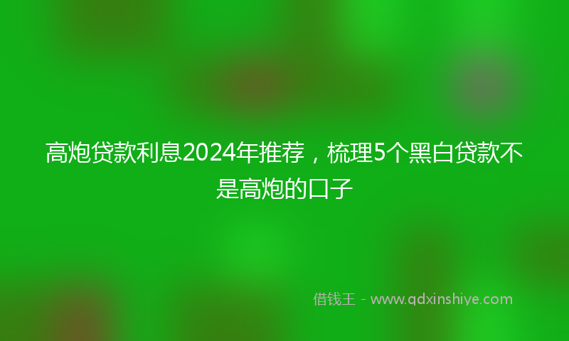 高炮贷款利息2024年推荐，梳理5个黑白贷款不是高炮的口子