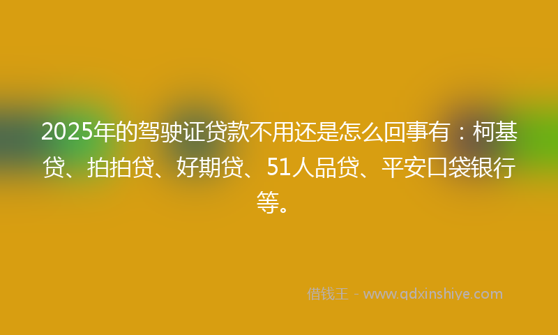 2025年的驾驶证贷款不用还是怎么回事有：柯基贷、拍拍贷、好期贷、51人品贷、平安口袋银行等。