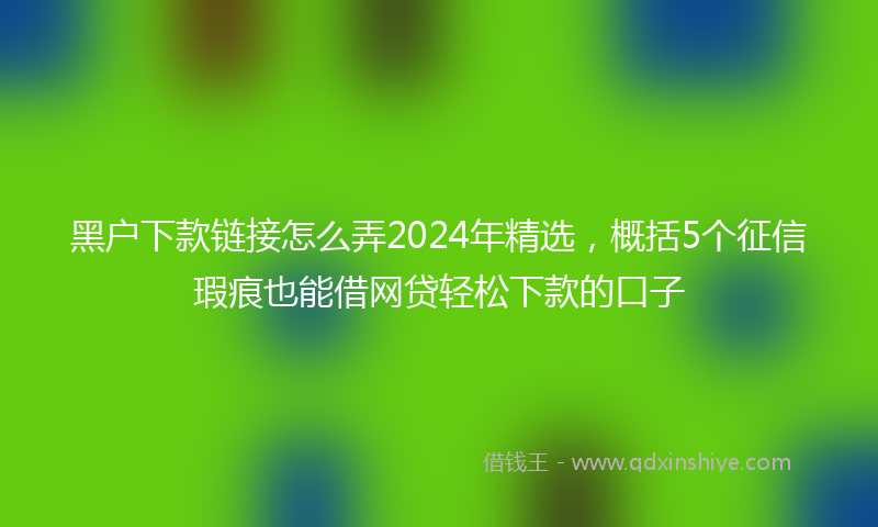 黑户下款链接怎么弄2024年精选，概括5个征信瑕疵也能借网贷轻松下款的口子