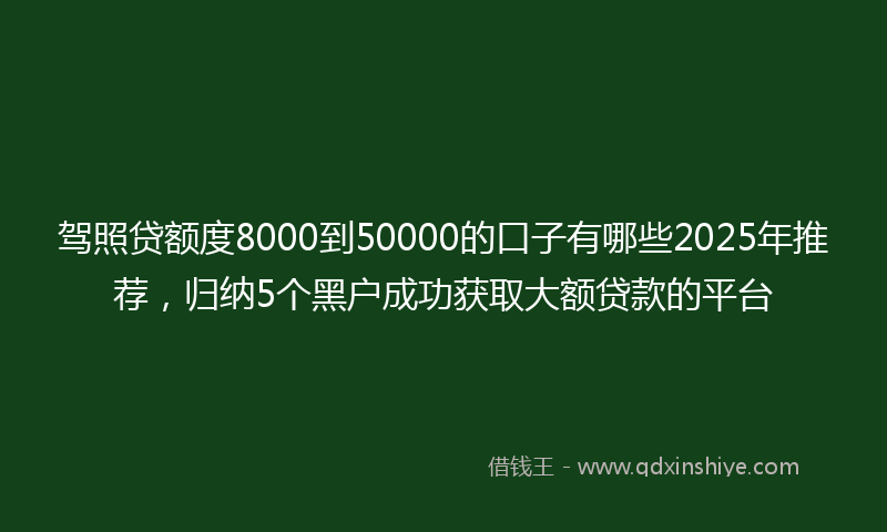 驾照贷额度8000到50000的口子有哪些2025年推荐，归纳5个黑户成功获取大额贷款的平台