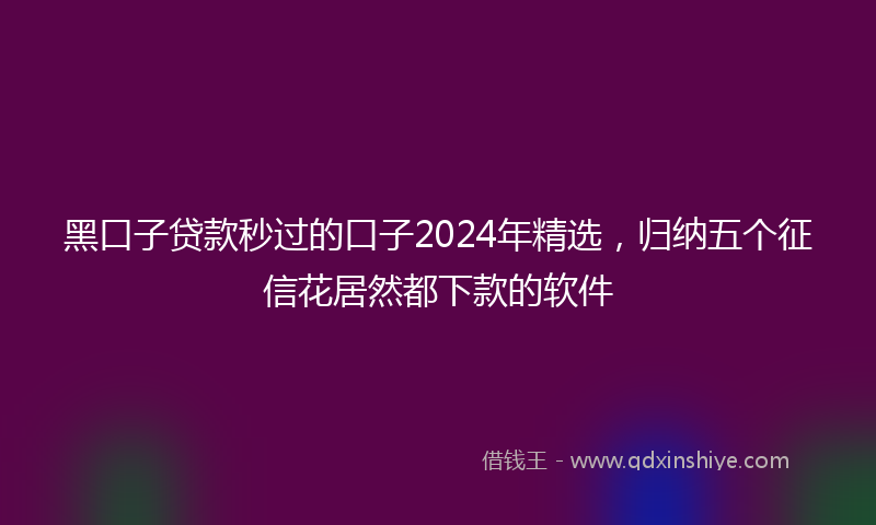 黑口子贷款秒过的口子2024年精选，归纳五个征信花居然都下款的软件