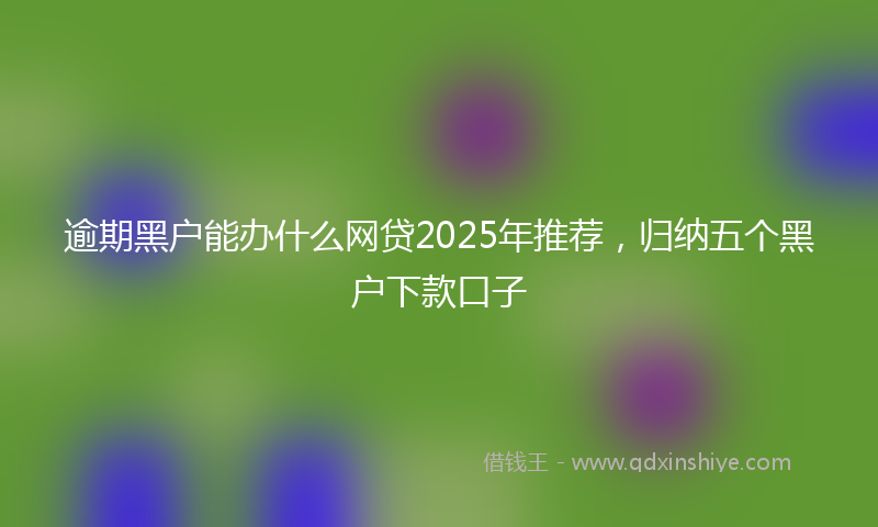 逾期黑户能办什么网贷2025年推荐，归纳五个黑户下款口子