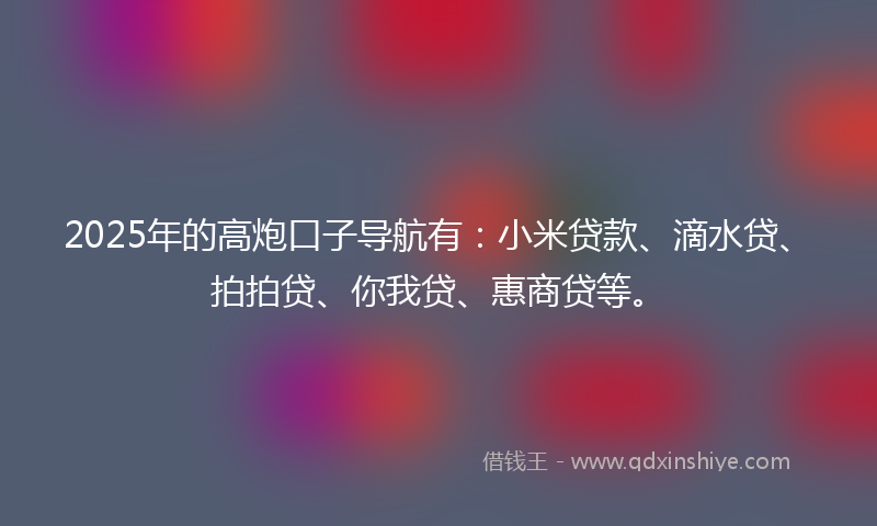 2025年的高炮口子导航有：小米贷款、滴水贷、拍拍贷、你我贷、惠商贷等。