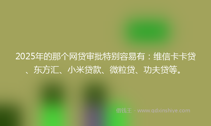 2025年的那个网贷审批特别容易有：维信卡卡贷、东方汇、小米贷款、微粒贷、功夫贷等。