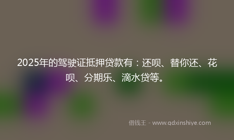 2025年的驾驶证抵押贷款有：还呗、替你还、花呗、分期乐、滴水贷等。