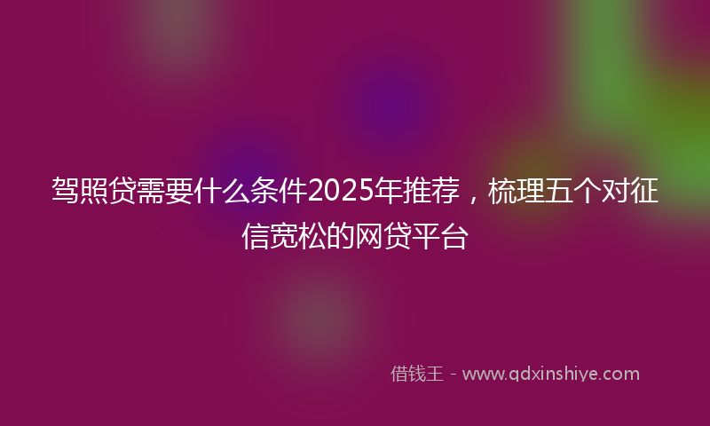 驾照贷需要什么条件2025年推荐，梳理五个对征信宽松的网贷平台