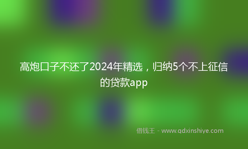 高炮口子不还了2024年精选，归纳5个不上征信的贷款app