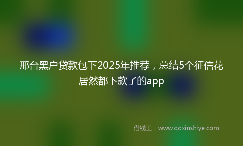 邢台黑户贷款包下2025年推荐，总结5个征信花居然都下款了的app