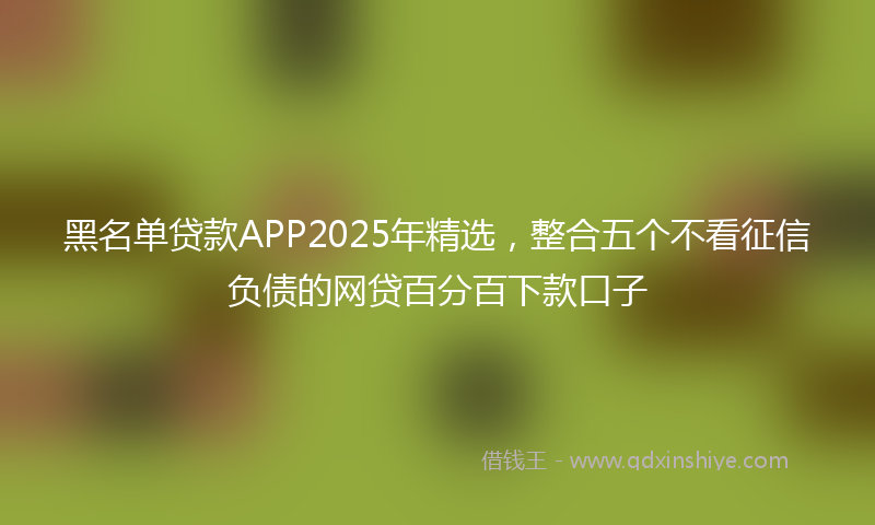 黑名单贷款APP2025年精选，整合五个不看征信负债的网贷百分百下款口子