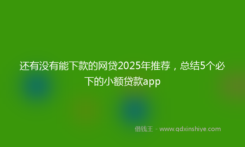 还有没有能下款的网贷2025年推荐，总结5个必下的小额贷款app