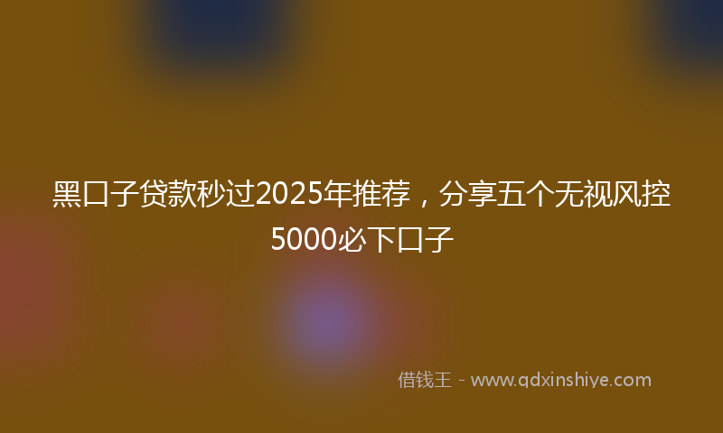黑口子贷款秒过2025年推荐，分享五个无视风控5000必下口子