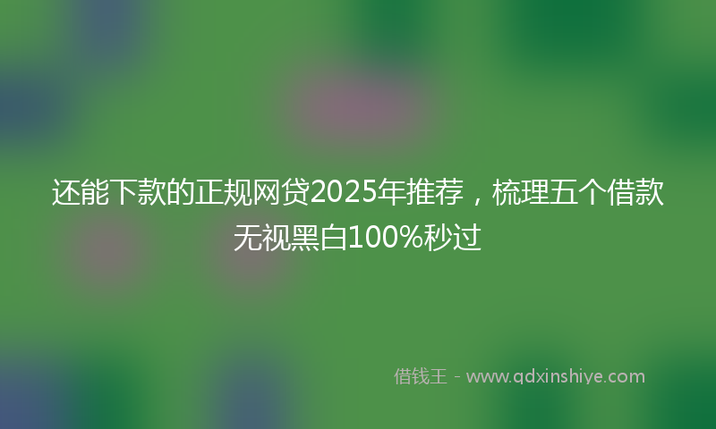 还能下款的正规网贷2025年推荐，梳理五个借款无视黑白100%秒过