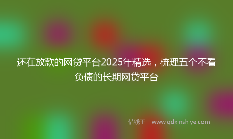 还在放款的网贷平台2025年精选，梳理五个不看负债的长期网贷平台