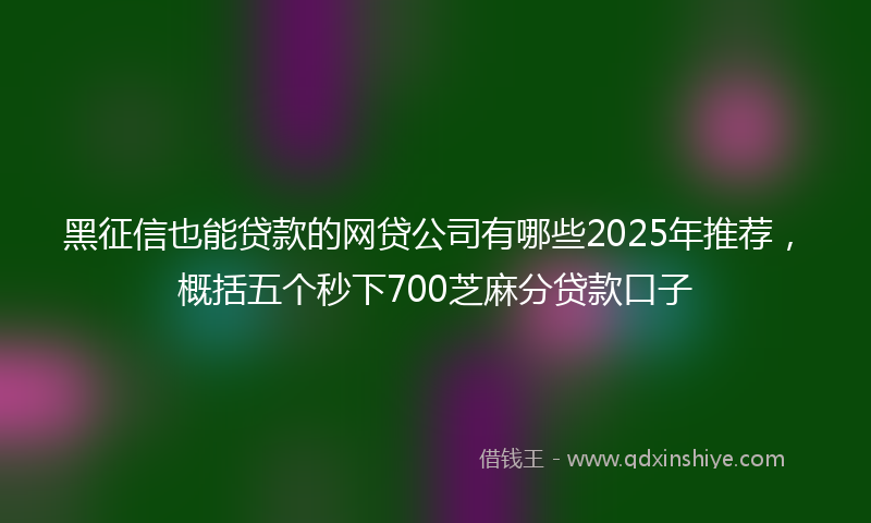 黑征信也能贷款的网贷公司有哪些2025年推荐，概括五个秒下700芝麻分贷款口子