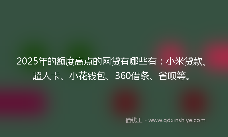 2025年的额度高点的网贷有哪些有：小米贷款、超人卡、小花钱包、360借条、省呗等。