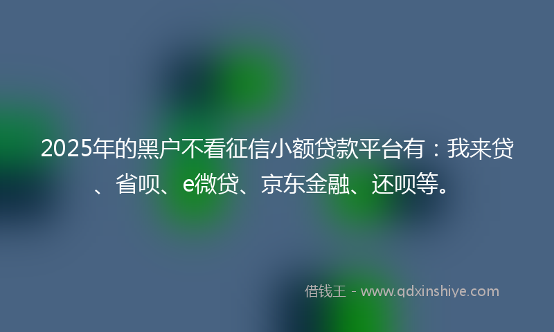 2025年的黑户不看征信小额贷款平台有：我来贷、省呗、e微贷、京东金融、还呗等。