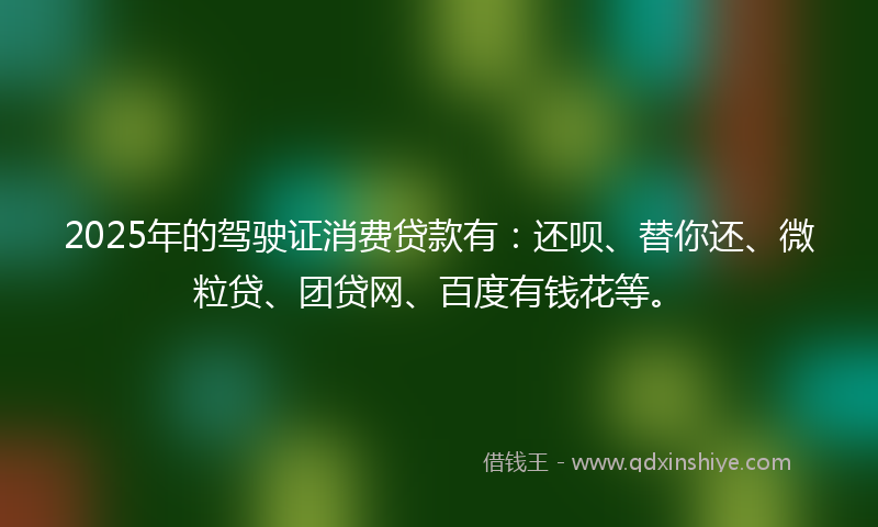 2025年的驾驶证消费贷款有：还呗、替你还、微粒贷、团贷网、百度有钱花等。