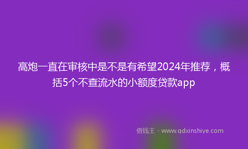 高炮一直在审核中是不是有希望2024年推荐，概括5个不查流水的小额度贷款app