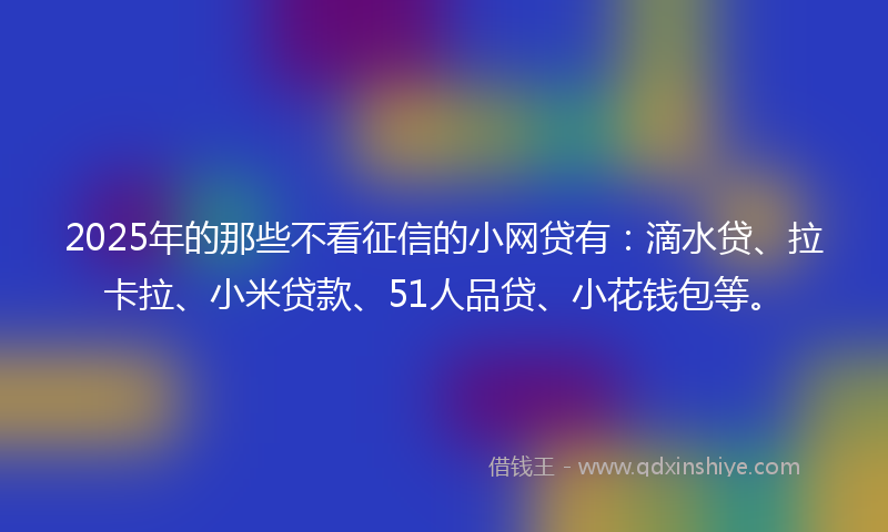 2025年的那些不看征信的小网贷有：滴水贷、拉卡拉、小米贷款、51人品贷、小花钱包等。