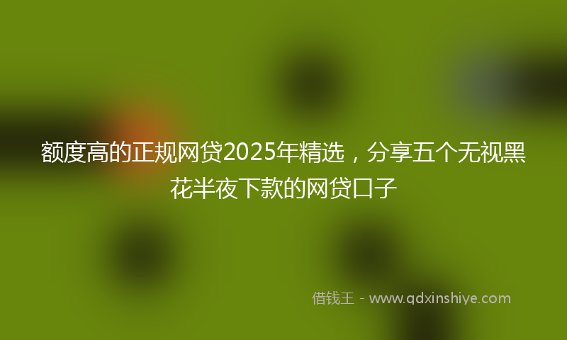 额度高的正规网贷2025年精选，分享五个无视黑花半夜下款的网贷口子