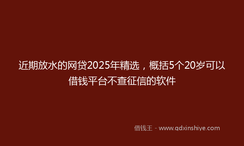 近期放水的网贷2025年精选，概括5个20岁可以借钱平台不查征信的软件