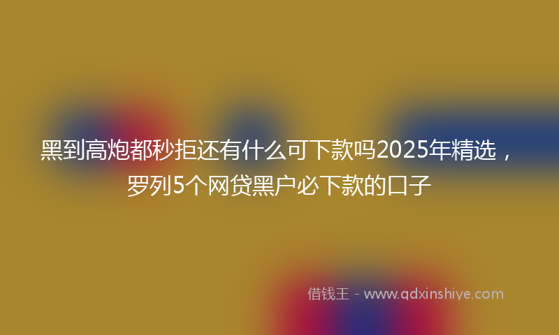 黑到高炮都秒拒还有什么可下款吗2025年精选，罗列5个网贷黑户必下款的口子