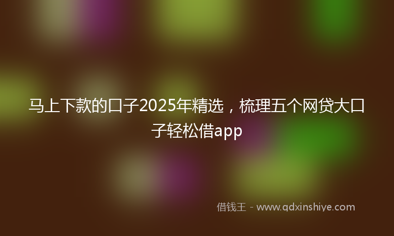 马上下款的口子2025年精选，梳理五个网贷大口子轻松借app