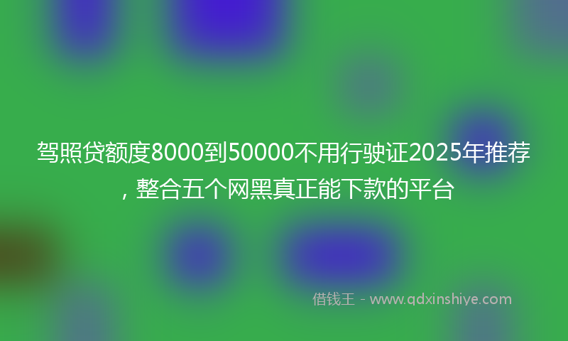 驾照贷额度8000到50000不用行驶证2025年推荐，整合五个网黑真正能下款的平台