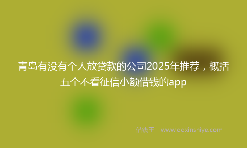 青岛有没有个人放贷款的公司2025年推荐，概括五个不看征信小额借钱的app