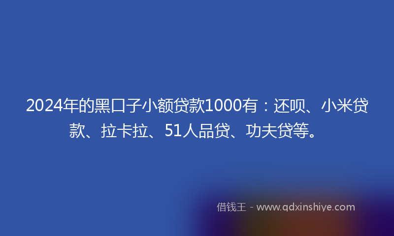 2024年的黑口子小额贷款1000有：还呗、小米贷款、拉卡拉、51人品贷、功夫贷等。
