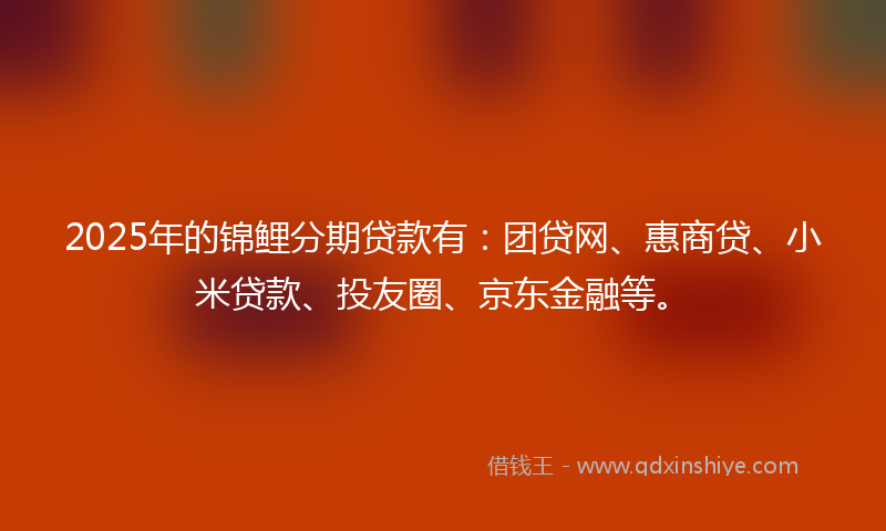 2025年的锦鲤分期贷款有：团贷网、惠商贷、小米贷款、投友圈、京东金融等。