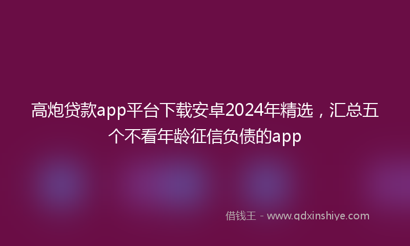 高炮贷款app平台下载安卓2024年精选，汇总五个不看年龄征信负债的app