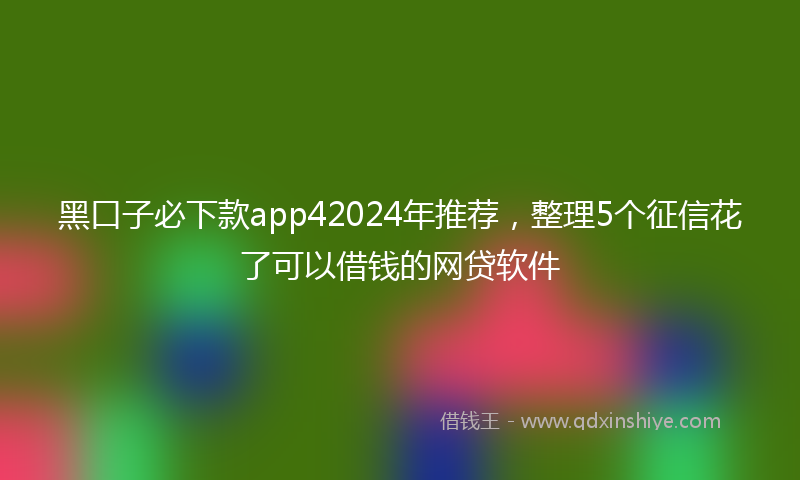 黑口子必下款app42024年推荐，整理5个征信花了可以借钱的网贷软件