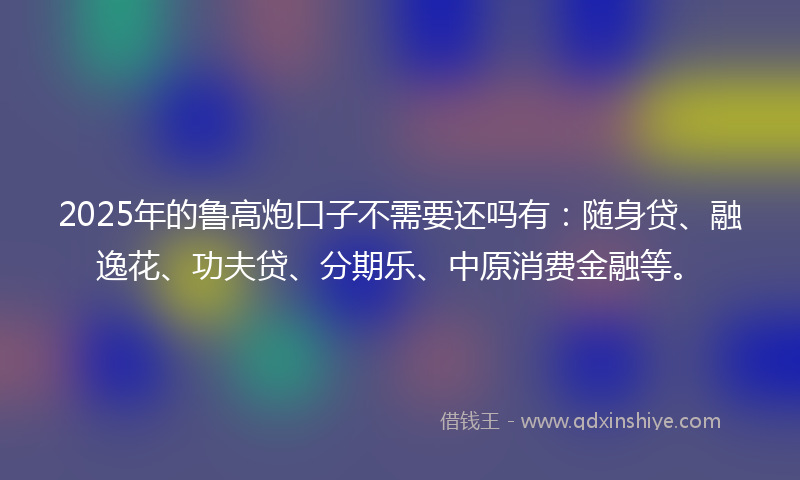 2025年的鲁高炮口子不需要还吗有：随身贷、融逸花、功夫贷、分期乐、中原消费金融等。