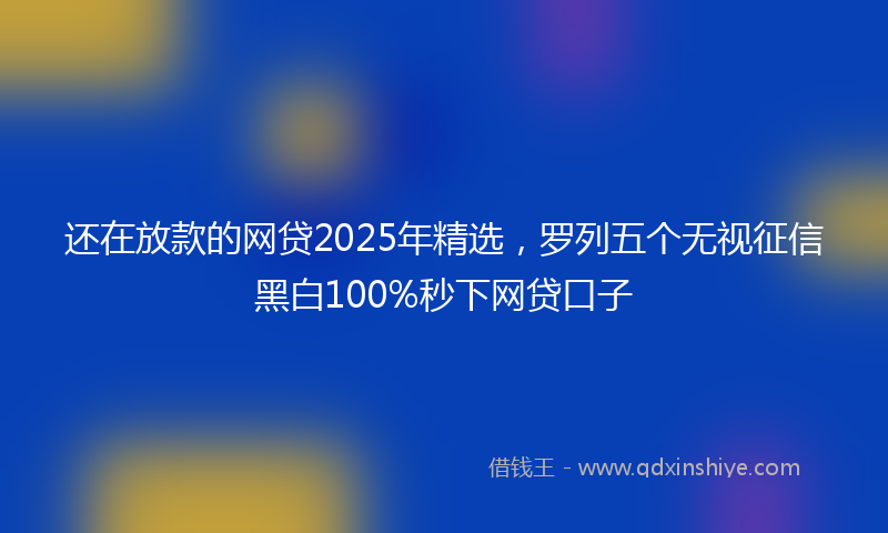 还在放款的网贷2025年精选，罗列五个无视征信黑白100%秒下网贷口子