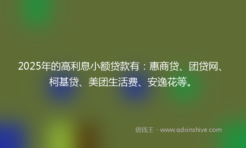 2025年的高利息小额贷款有：惠商贷、团贷网、柯基贷、美团生活费、安逸花等。
