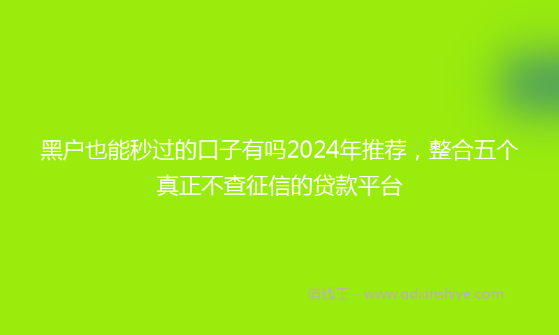 黑户也能秒过的口子有吗2024年推荐，整合五个真正不查征信的贷款平台