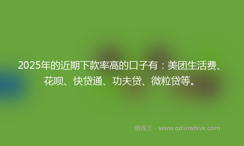 2025年的近期下款率高的口子有：美团生活费、花呗、快贷通、功夫贷、微粒贷等。