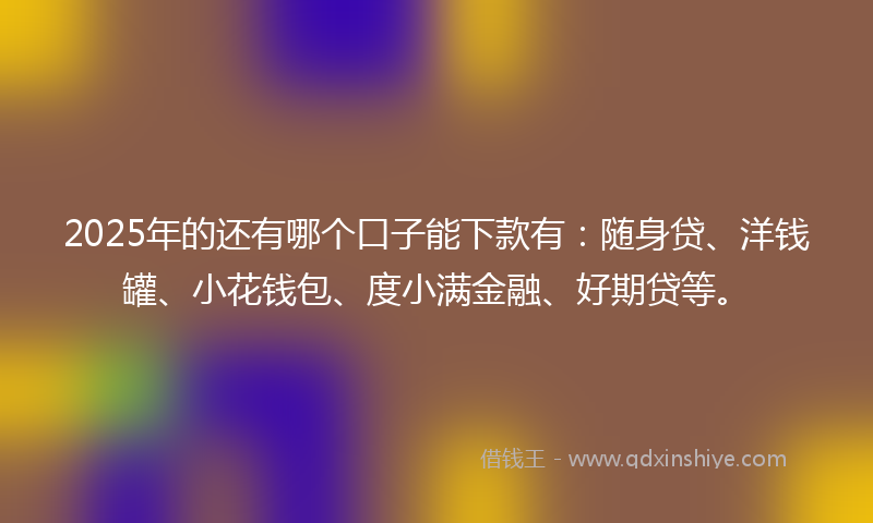 2025年的还有哪个口子能下款有：随身贷、洋钱罐、小花钱包、度小满金融、好期贷等。