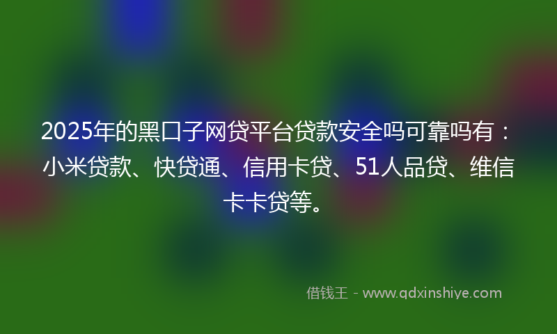 2025年的黑口子网贷平台贷款安全吗可靠吗有：小米贷款、快贷通、信用卡贷、51人品贷、维信卡卡贷等。