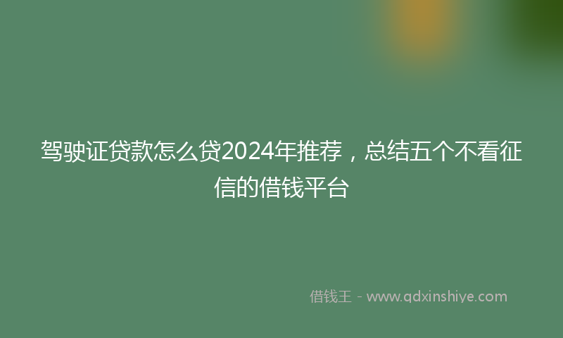 驾驶证贷款怎么贷2024年推荐，总结五个不看征信的借钱平台