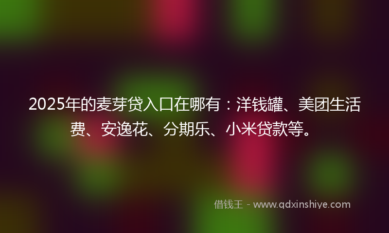 2025年的麦芽贷入口在哪有：洋钱罐、美团生活费、安逸花、分期乐、小米贷款等。