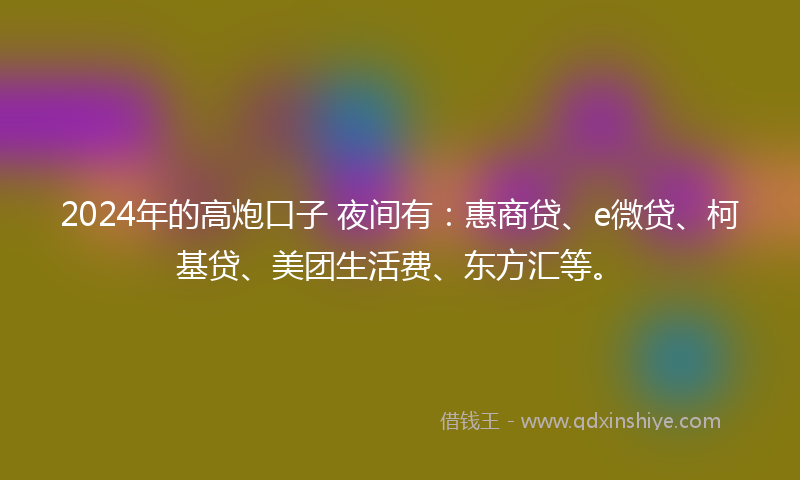 2024年的高炮口子 夜间有：惠商贷、e微贷、柯基贷、美团生活费、东方汇等。
