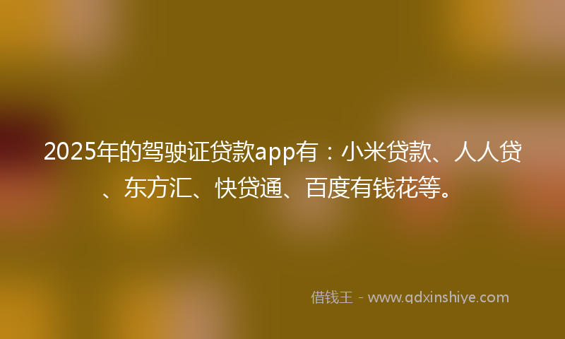 2025年的驾驶证贷款app有：小米贷款、人人贷、东方汇、快贷通、百度有钱花等。