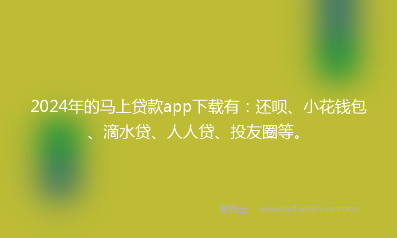 2024年的马上贷款app下载有：还呗、小花钱包、滴水贷、人人贷、投友圈等。