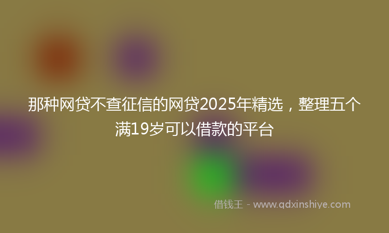 那种网贷不查征信的网贷2025年精选，整理五个满19岁可以借款的平台