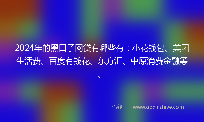 2024年的黑口子网贷有哪些有：小花钱包、美团生活费、百度有钱花、东方汇、中原消费金融等。