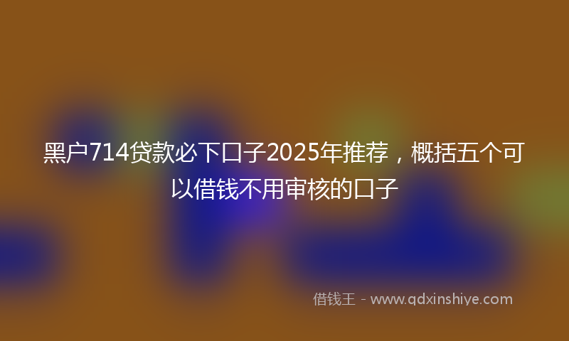 黑户714贷款必下口子2025年推荐，概括五个可以借钱不用审核的口子