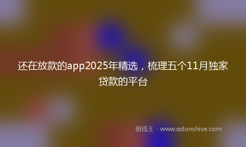 还在放款的app2025年精选，梳理五个11月独家贷款的平台